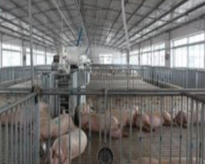 飼養廠汙水91香蕉视频破解版